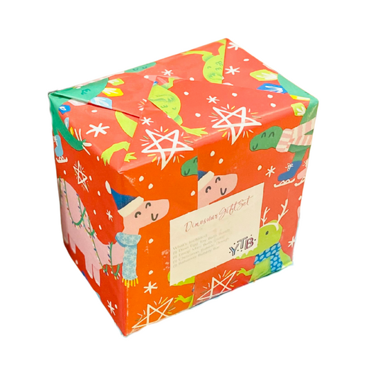 Dinosaur Wrapped Gift Set